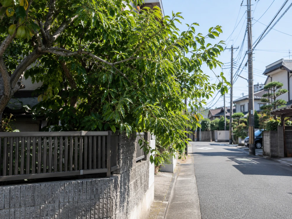 住宅の庭木の枝が道路側へ伸びている様子