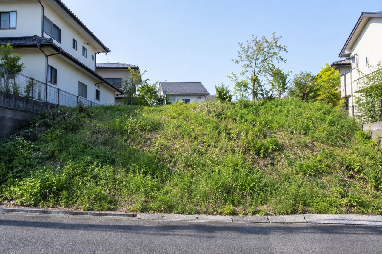 住宅脇の草が生えた斜面