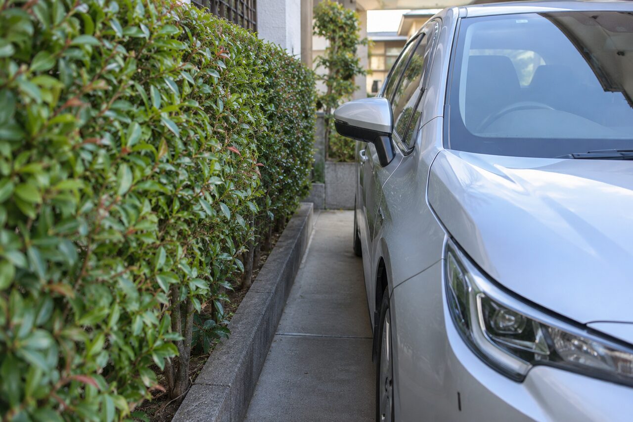 車の横へ広がった生垣