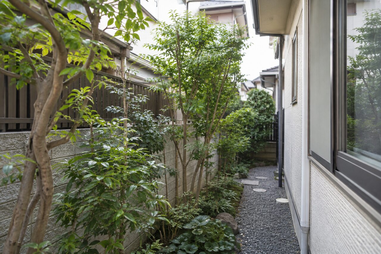 狭い庭の通路と庭木