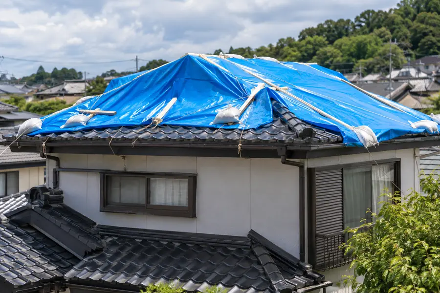 応急処置としてブルーシートを掛けた屋根